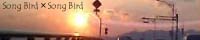 Song Bird�~Song Bird/���l�@�����W����������