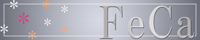 FeCa/�^����l